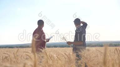 团队合作智能<strong>农耕</strong>生活方式慢动作视频.. 两名农民在麦田工作。 农民探索正在研究。 男子